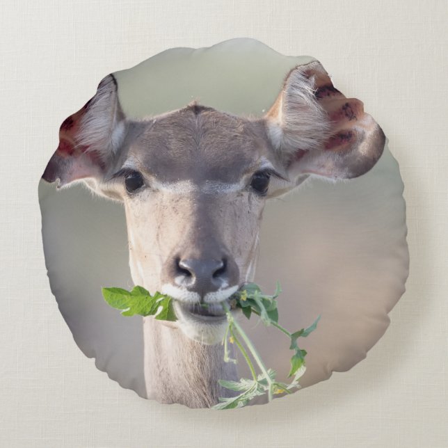 Coussins Ronds Portrait de Kudu (Dos)