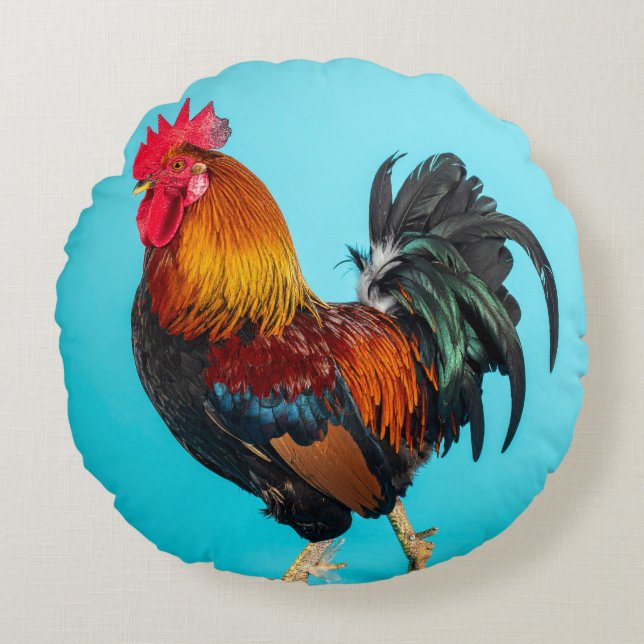 Coussins Ronds poulet (Devant)
