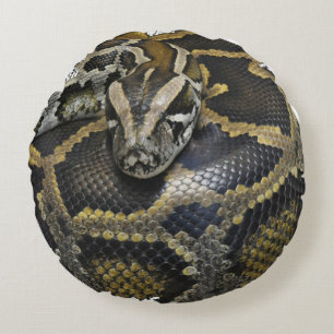 Coussins Ronds Produits de conception "de python royal"