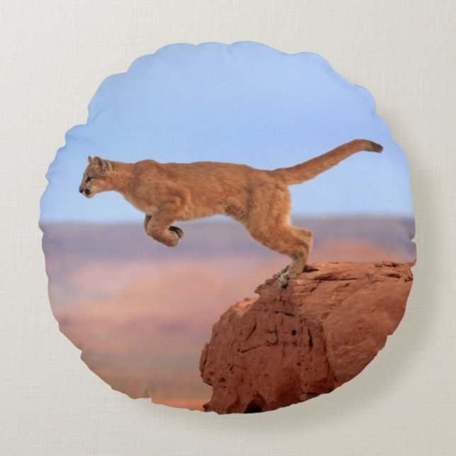Coussins Ronds Puma (Devant)