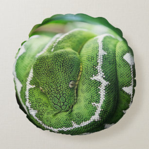Coussins Ronds Python