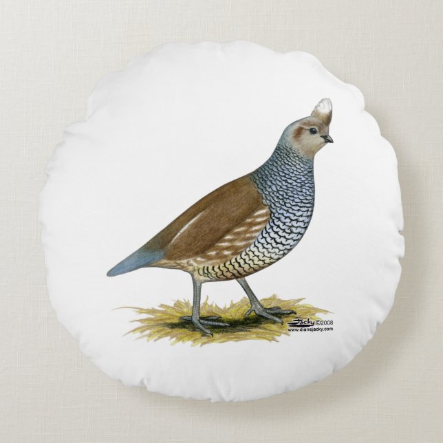 Coussins Ronds Quail à échelle (Devant)