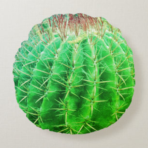Coussins Ronds Regard Épineux Cactus Vert Naturel