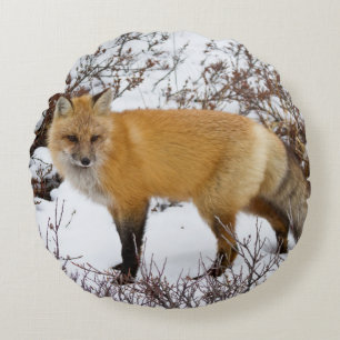 Coussins Ronds Renard roux dans la neige en hiver