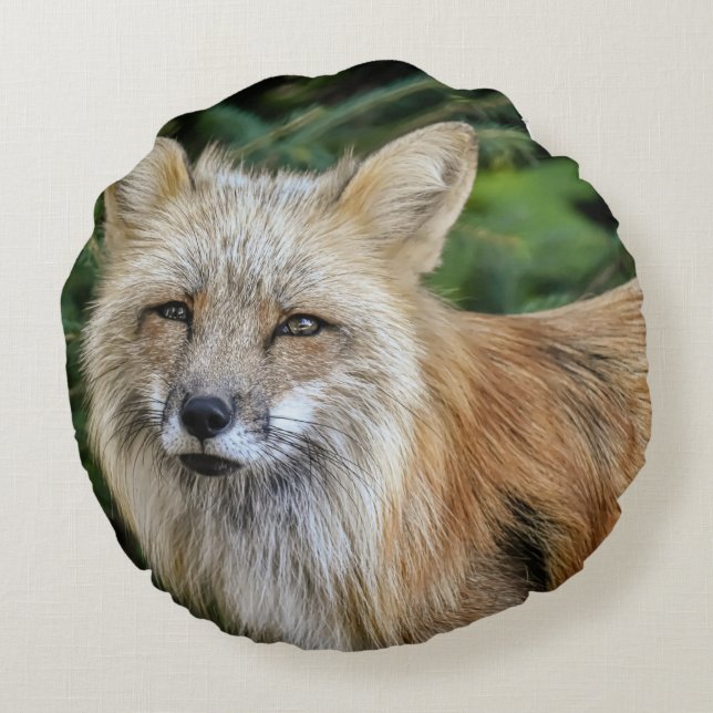 Coussins Ronds Renard sauvage (Dos)