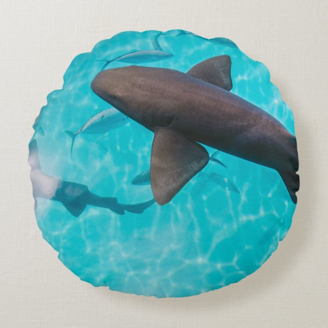COUSSINS RONDS REQUINS SUR LE CORPS D'EAU (Devant)
