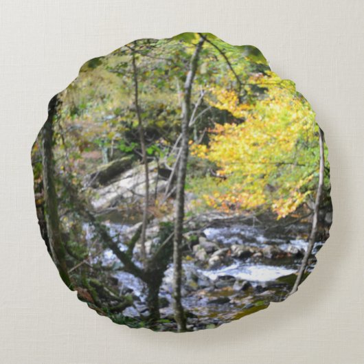 Coussins Ronds river (Dos)