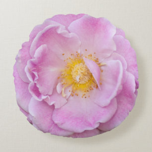 Coussins Ronds Rose