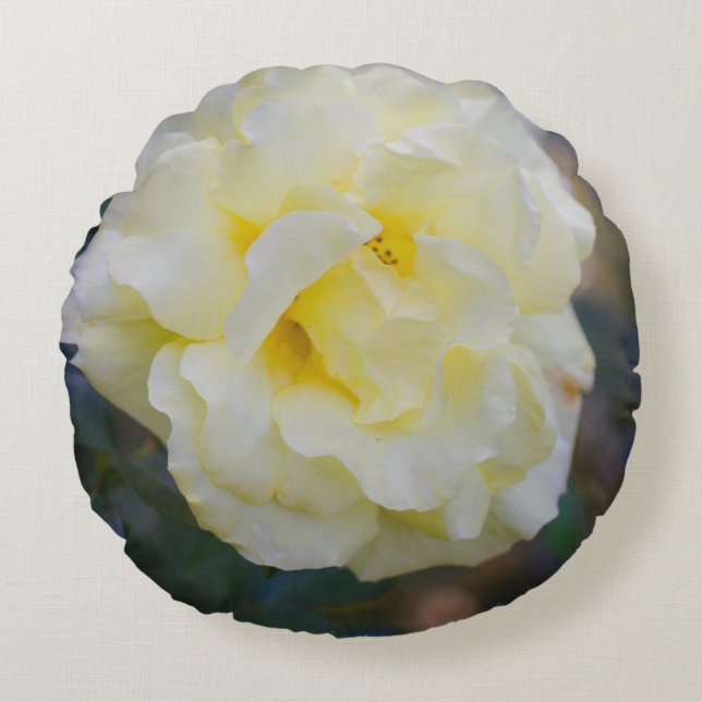 Coussins Ronds Rose jaune pâle (Devant)