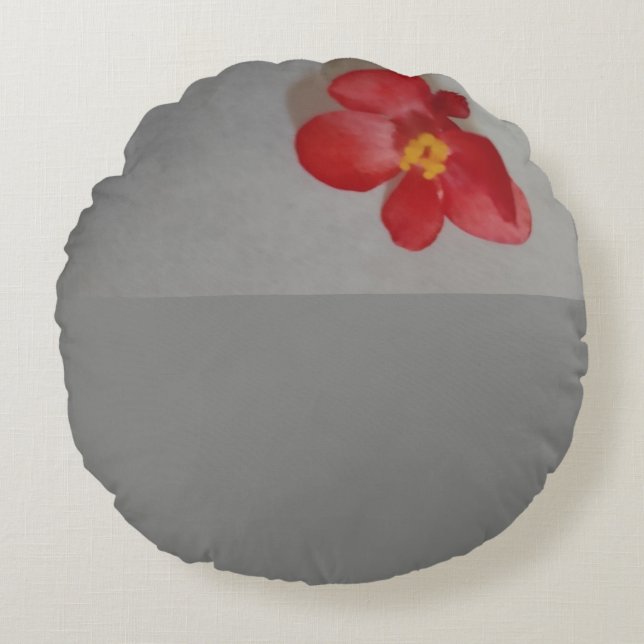 Coussins Ronds Rouge Et Gris (Devant)