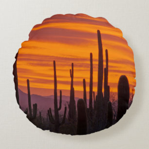 Coussins Ronds Saguaro, coucher de soleil, Parc national de Sagua