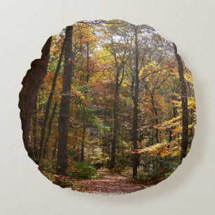 Coussins Ronds Sentier ensoleillé d'automne dans le parc d'État d
