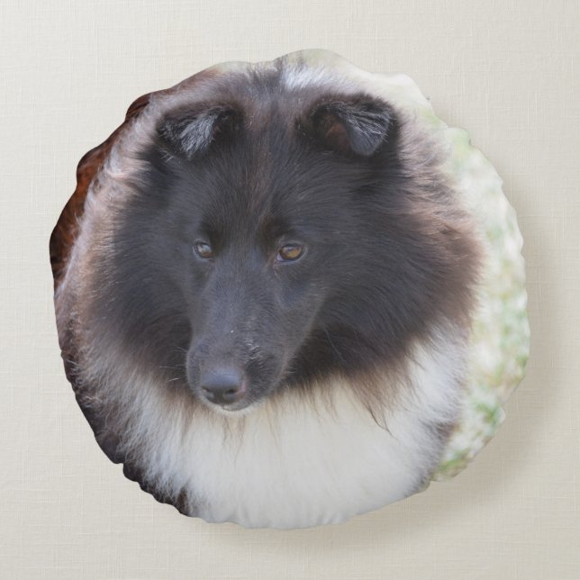 Coussins Ronds Sheltie adorable (Dos)