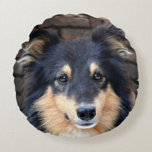 Coussins Ronds Sheltie tricolore