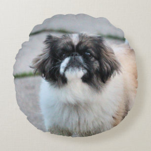Coussins Ronds Shih Tzu