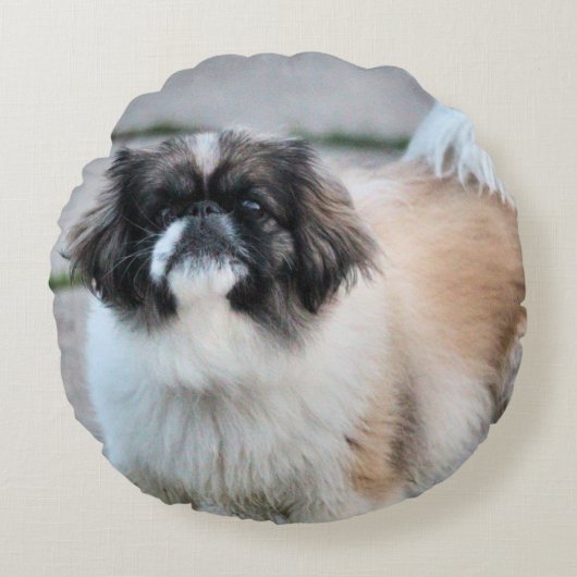 Coussins Ronds Shih Tzu (Devant)