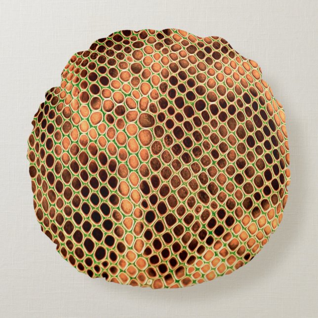 Coussins Ronds Snake skin background (Devant)
