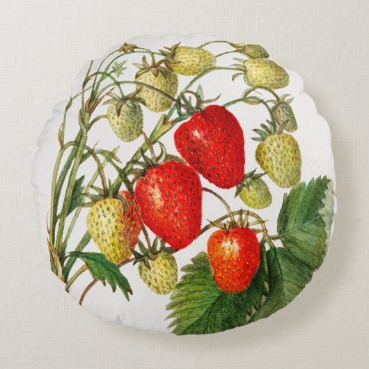 Coussins Ronds Succursale vintage de fraises (Devant)