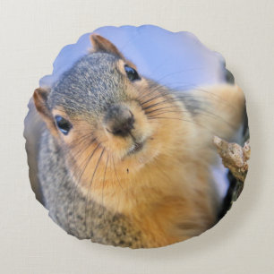 Coussins Ronds Super mignon