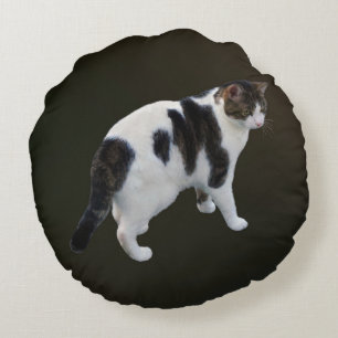Coussins Ronds Tabby Blanc Avec Patches Sombres