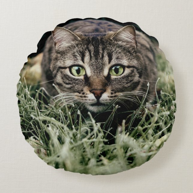 Coussins Ronds Tabby le chat domestique (Devant)