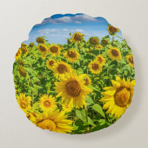 Coussins Ronds Terrain de tournesol, ensoleillé l'été.