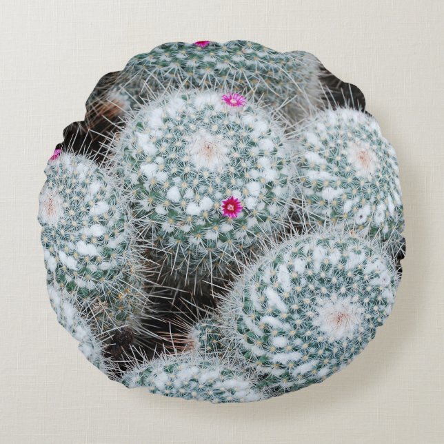 Coussins Ronds Tiny rose Fleurs Plantes Cactus (Devant)