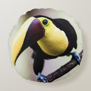 Coussins Ronds Toucan du Costa Rica