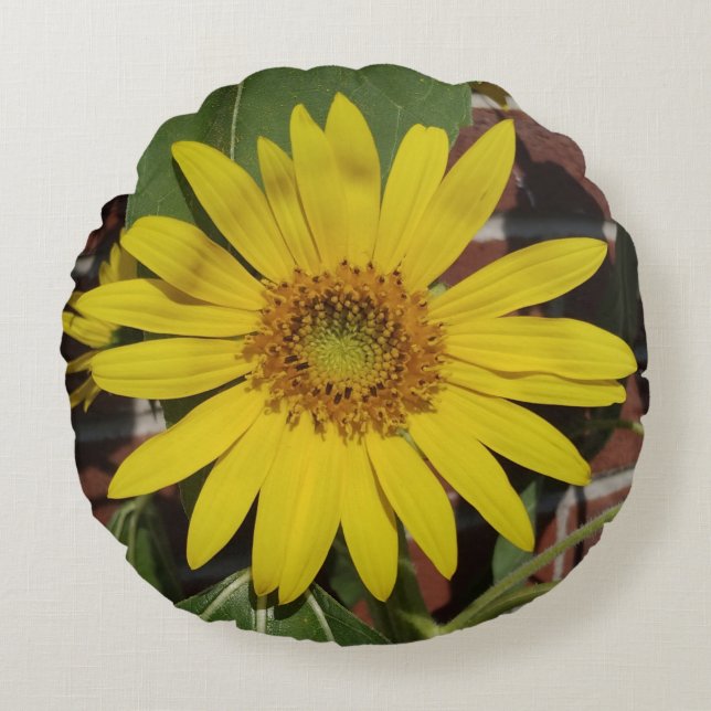 Coussins Ronds Tournesol (Devant)