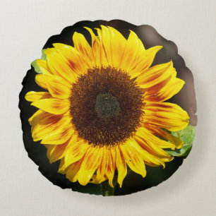 Coussins Ronds Tournesol jaune lumineux