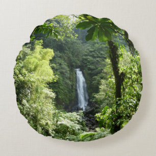 Coussins Ronds Trafalgar Falls Tropical Rainforest Photographie