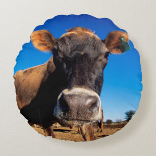 Coussins Ronds Une vache jersey curieuse