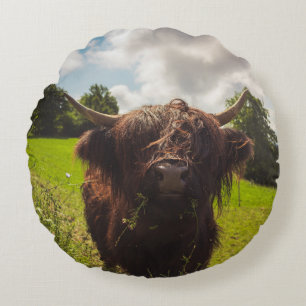 Coussins Ronds Vache noire pâturage vert champ soleil