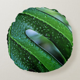 Coussins Ronds Vert feuille plante Monstera