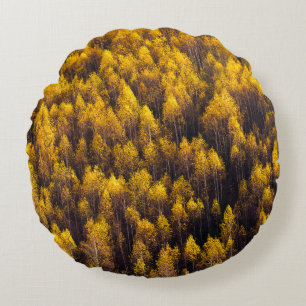 COUSSINS RONDS VUE AÉRIENNE DE LA FORÊT
