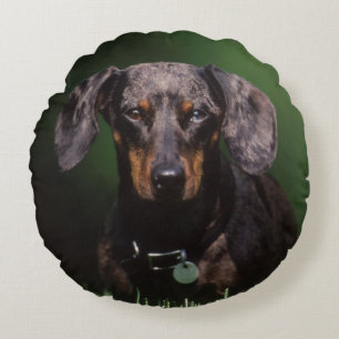 Coussins Ronds Vue de Dachshund couleur marbrée