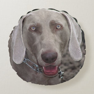 Coussins Ronds Weimaraner