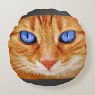 Coussins Ronds Yeux de chat Yeux de chat Face Tiger maquereau rou