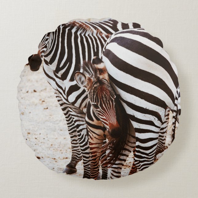 COUSSINS RONDS ZEBRA FAMILY (Devant)