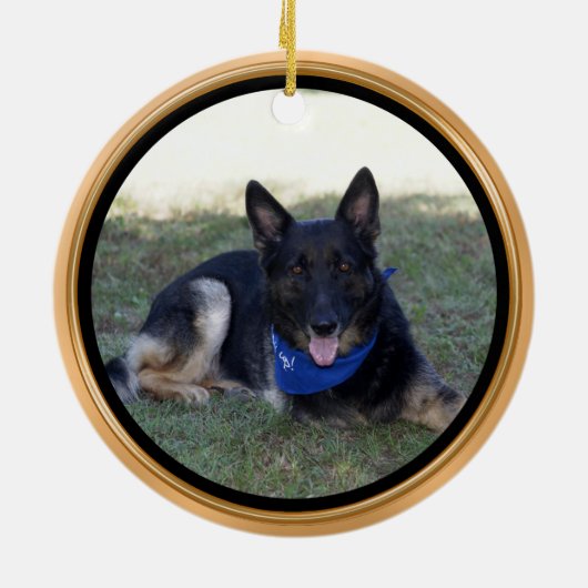 Coutume commandée en ornement affectueux de chien (Dos)