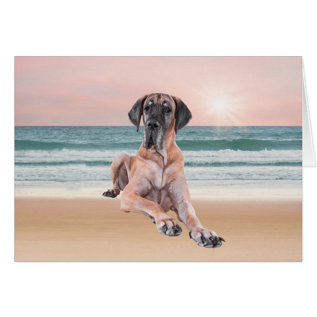 Coutume Grand Chien Danse assis sur la plage (Devant horizontal)