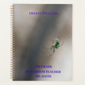 Coutume Green Orb Weaver Spider School Classe (Devant)