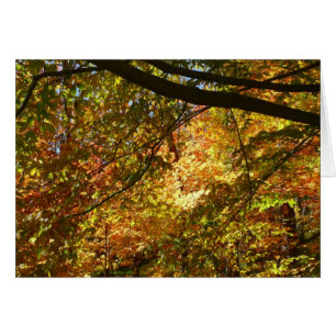 Couvert de feuilles d'automne I Nature jaune d'aut