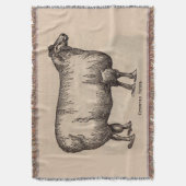 Couverture 19e century print cotswold sheep (devant Vertical)