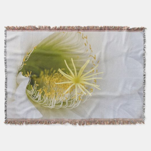 Couverture À l'intérieur d'un cactus blanc en fleurs (Devant)