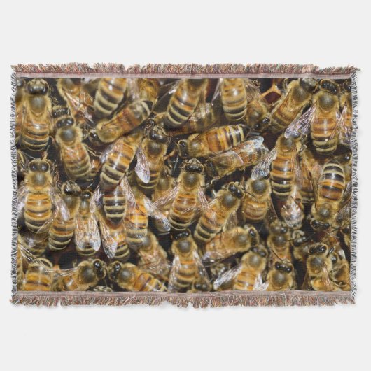 Couverture Abeilles (Devant)