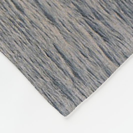 Couverture Adam E. Cornelius (Coin)