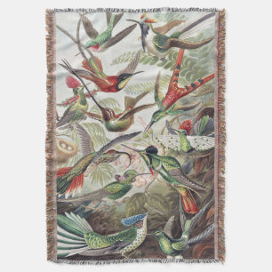 Couverture Affiche vintage colorée d'Ernst Haeckel sur les co