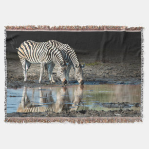 Couverture Afrique,Botswana, Delta de l'Okavango, Davison Cam