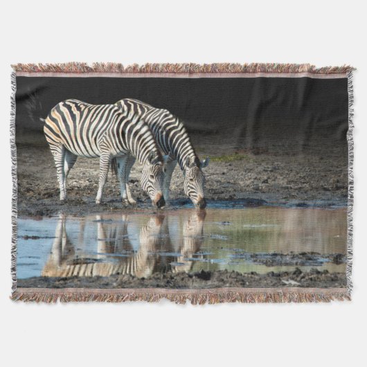 Couverture Afrique,Botswana, Delta de l'Okavango, Davison Cam (Devant)